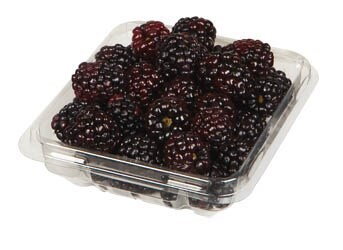 Černice čerstvé 125 g vanička