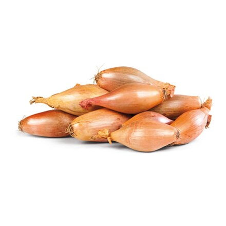 Cibuľa šalotka banánová 30/40 čerstvá 500 g