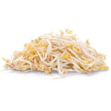 Klíčky mungo NL čerstvé 1 kg vrecko